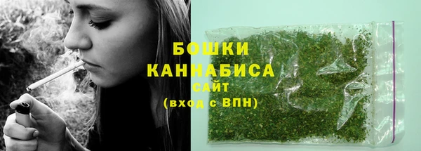 амф Арсеньев
