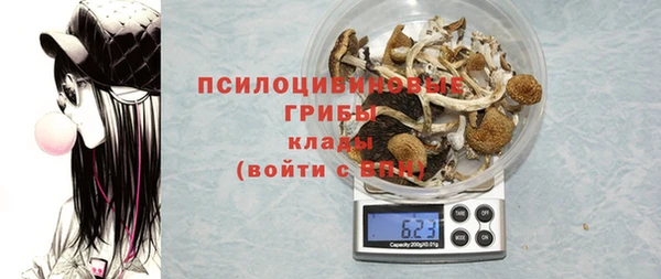 амф Арсеньев